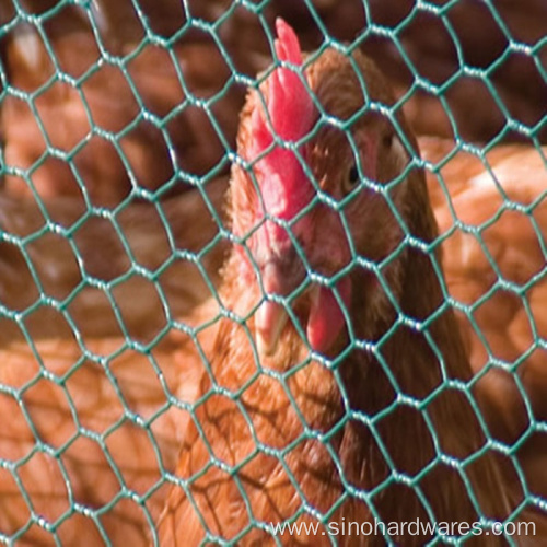 Pvc Plastic Coated Chicken Wire Mesh Chicken Wire Netting 3/4 Inches Wire Mesh For Chicken Coop